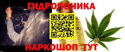 прущие крисы Мариинск