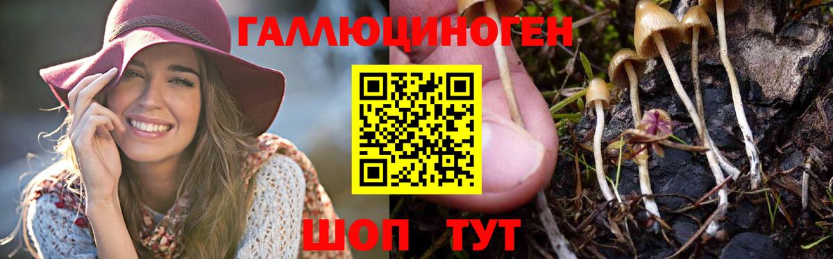 наркотики  Псилоцибиновые грибы Psilocybine cubensis  Вход с VPN  Джанкой  Галлюциногенные грибы Psilocybine cubensis 